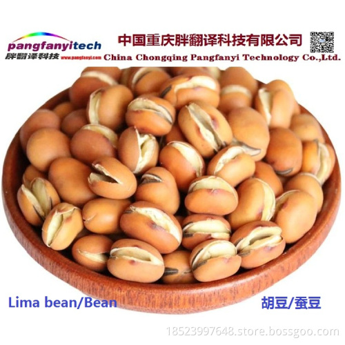 Natural Nutritional Tasty Self-planted Dried Lima Bean